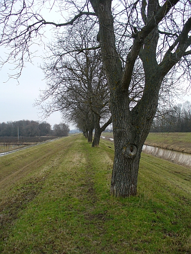 Nová Morava - ochranná hráz