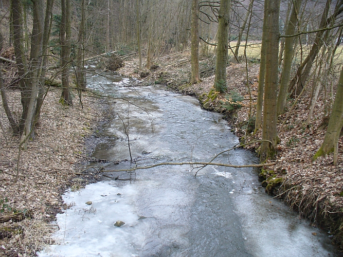 Bílý potok