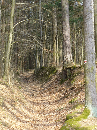 Cesta na Šmelcovnu