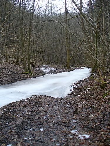 Říčka Stříbrnice (pravostranný přítok Bílého potoka)