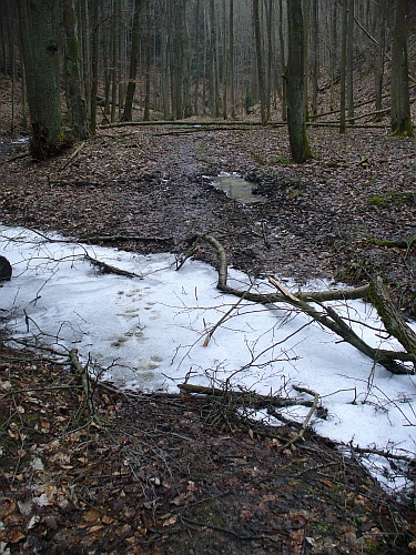 Říčka Stříbrnice (pravostranný přítok Bílého potoka)